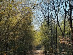 -南京市无想山景区