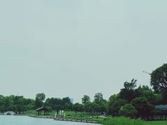 -桐乡凤凰湖