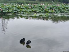 -太阳宫公园