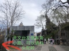 -紫金山山顶公园