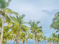 -三亚西岛海洋文化旅游区