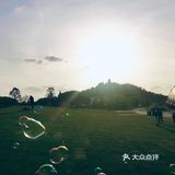 上海郊外野餐晒太阳的好去处