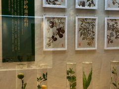 -广东中医药博物馆