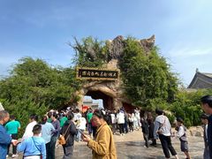 -大槐树寻根祭祖园