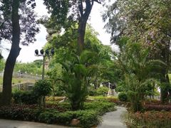 -船政文化景区-罗星塔公园