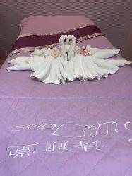 -SILKTONE诗丽堂美容