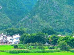 -万峰林风景区