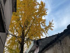 -崇仁古镇