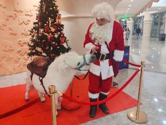 -珠海横琴长隆《卡卡虎奇遇记》