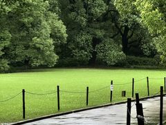 -上海共青森林公园