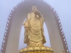 -庐山风景名胜区-东林大佛
