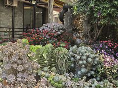 -山菌美食苑(振兴路店)