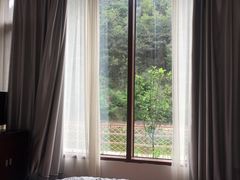 -欢乐松鼠谷