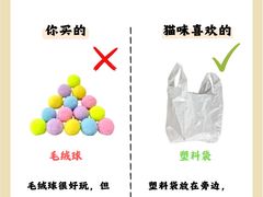 -半岛宠物医院24小时(科华中路店)