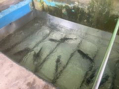 -姥家大锅台水库渔家