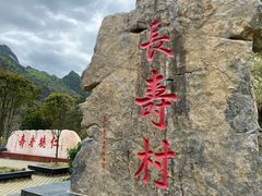 -长寿村