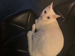 -Doors独立剧情密室(东门分店)