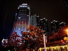 -武汉关码头(轮渡站)