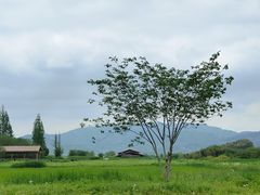 -良渚古城遗址公园