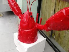 -张大师鸭爪爪特色干锅(南湖店)