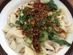 牛肉油泼扯面-马振面(小皮院店)
