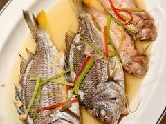 -金成潮菜博物馆(海珠湿地店)