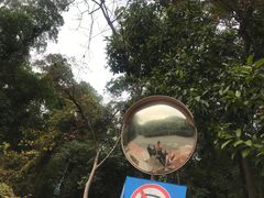 -火炉山森林公园