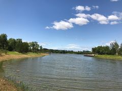 -东郊湿地公园