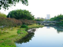 -汇华阁中餐厅·粤菜早茶(汇华希尔顿逸林酒店)