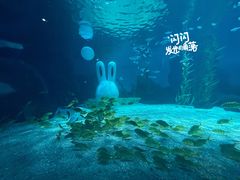-常州海昌海洋探索馆
