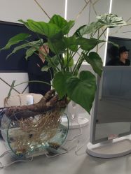 -MYYF SALON烫发染发