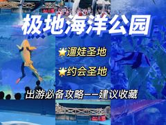 -海合安成都极地海洋公园