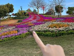 -东莞植物园