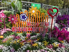 -上海共青森林公园