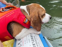 -安吉龙王山峡谷漂流