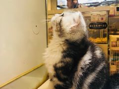 -凯德广场(武胜路店)