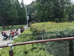 -金沙遗址博物馆