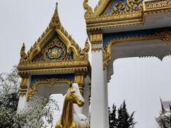-洛阳白马寺