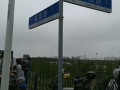 -南汇嘴观海公园