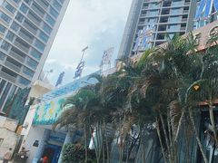 -黄金海岸水上乐园
