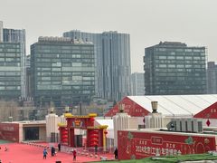 -三里屯东五街银杏大道