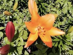 -长春公园(普阳街道)