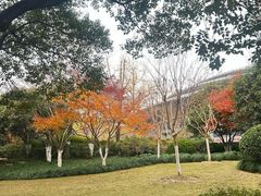 -杭州城北体育公园