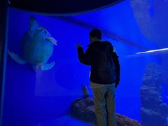 -成都浩海立方海洋公园