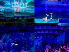 -海合安武汉极地海洋公园