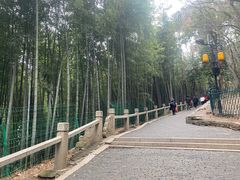 -灵岩山风景区