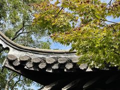 -何园