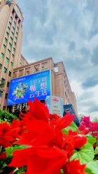 -时尚殿堂hair salon