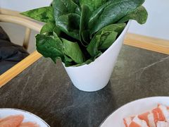 -小洋府铜锅涮肉(南锣鼓巷店)