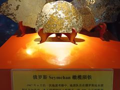 -紫金山天文台